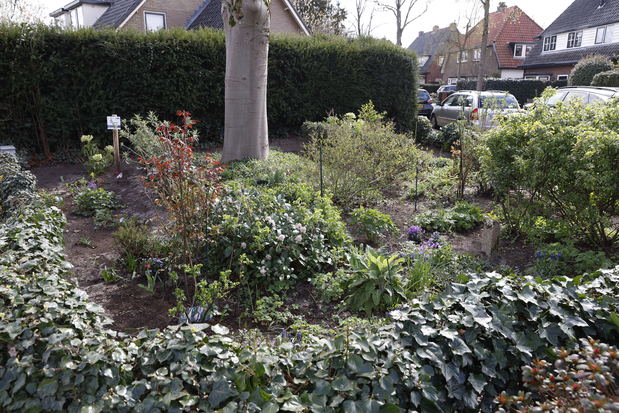 090425-zelfbeheer-tuitnje-zevenend-laren-13