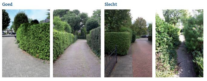 Overhangend groen afbeelding